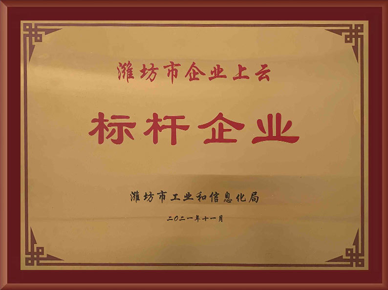 濰坊市企業上雲标杆企業 濰坊市企業上雲标杆企業